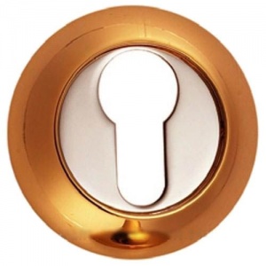 Накладка Ренц (Renz) INET (N) 08 фото